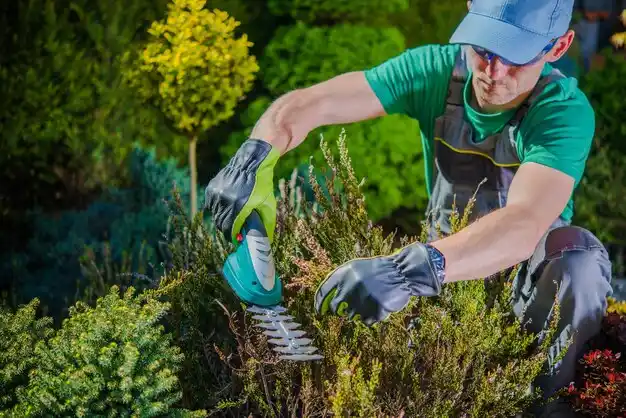 landscaping services Neligh